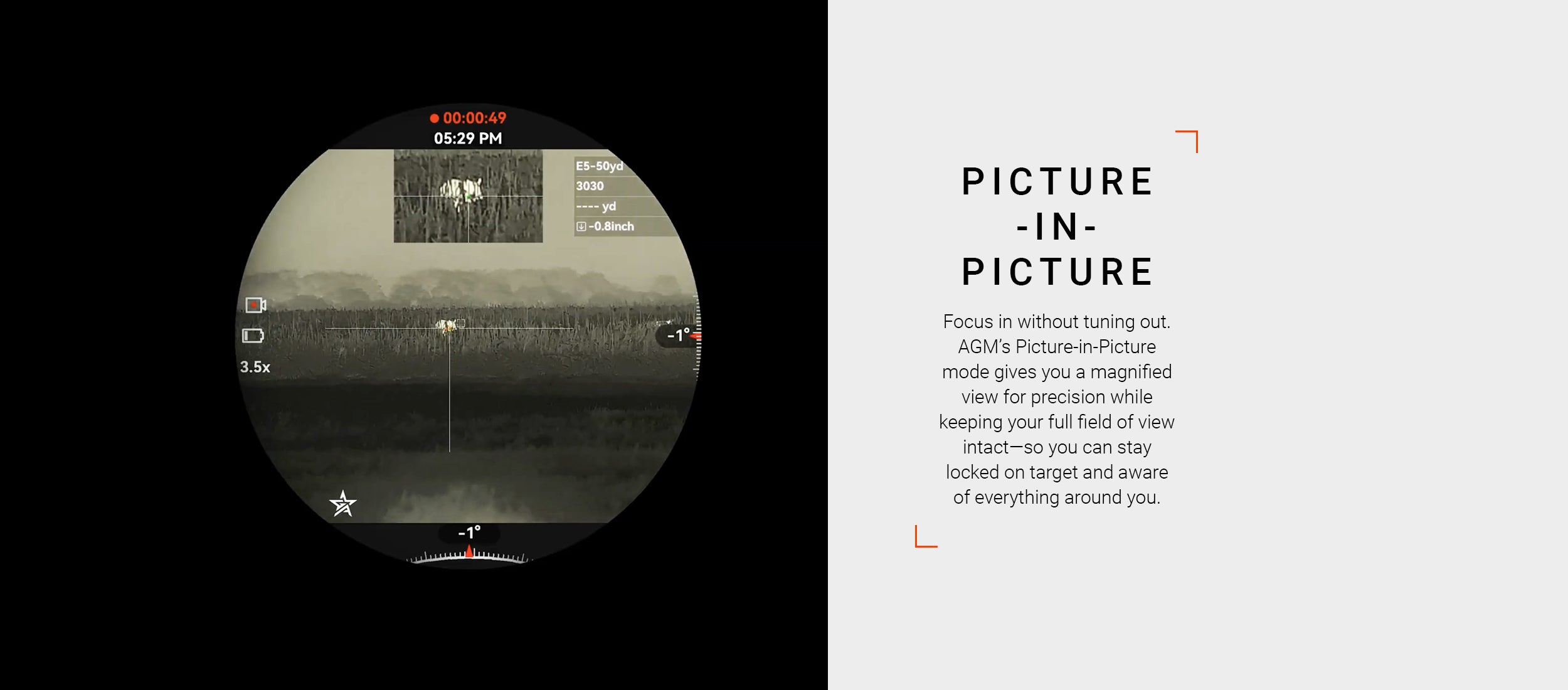 Picture in Picture