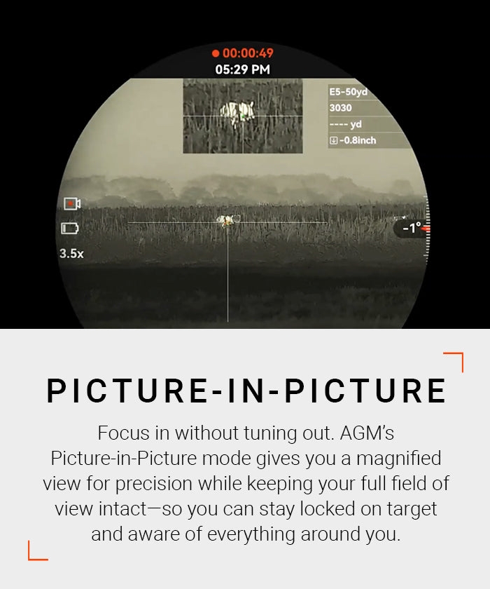 Picture in Picture