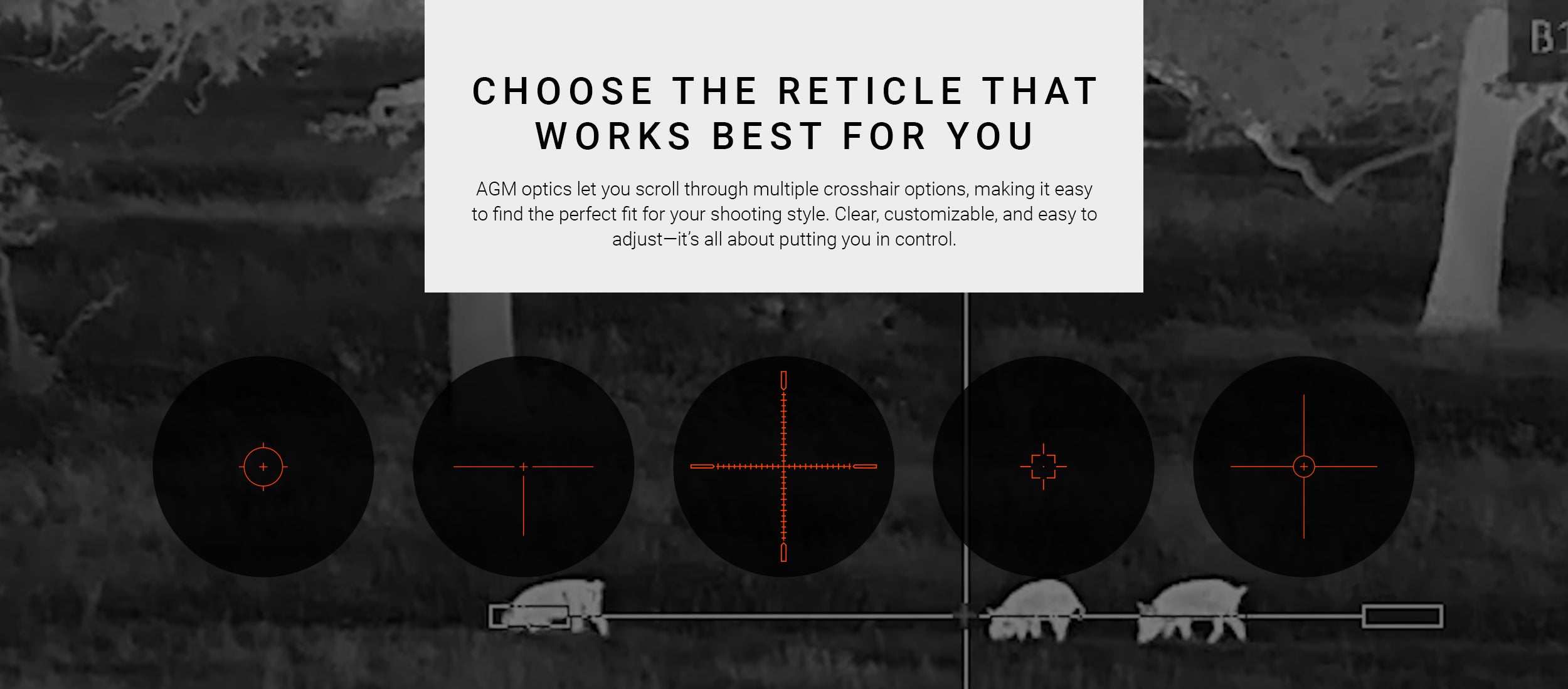 Custom Reticle