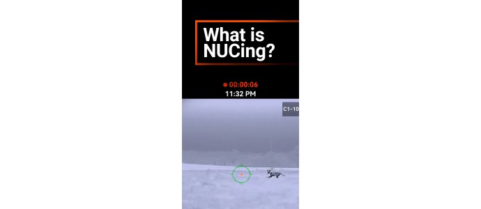 What Is Thermal NUCing? Understanding Non-Uniformity Correction in Thermal Scopes