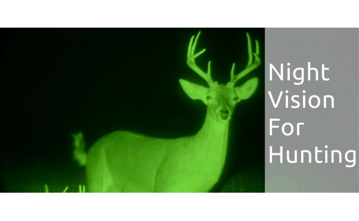 Hunting with Night Vision. Is it Legal?