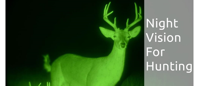 Hunting with Night Vision: Is it Legal?