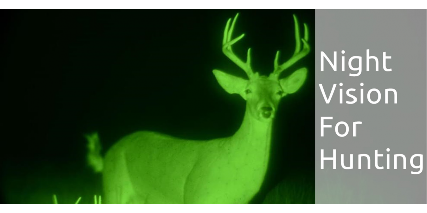 Hunting with Night Vision. Is it Legal?