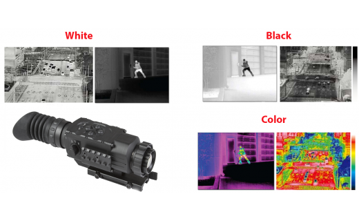 Difference between Black and White or Color palettes on Thermal Imaging