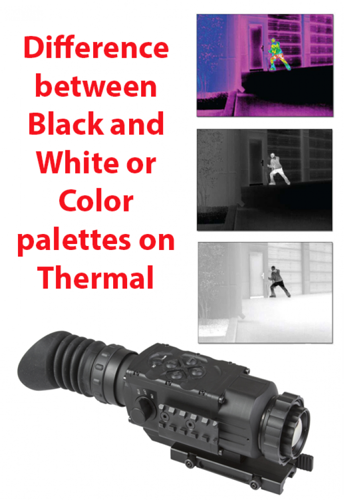 Difference between Black and White or Color palettes on Thermal Imaging