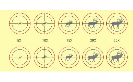 Best Scope Magnification: How Much is Too Much?