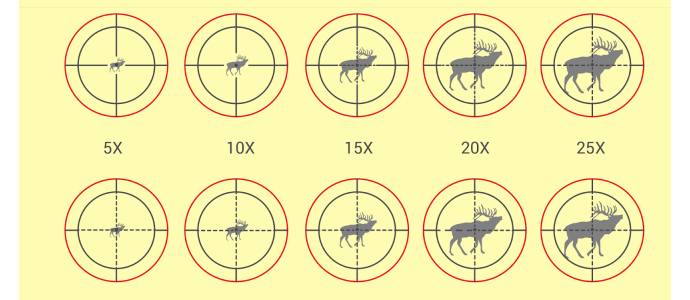 Best Scope Magnification: How Much is Too Much?