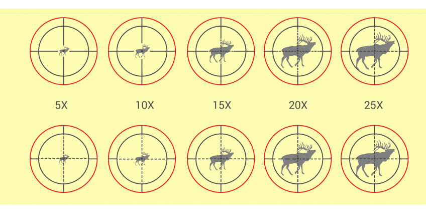 Best Scope Magnification: How Much is Too Much?