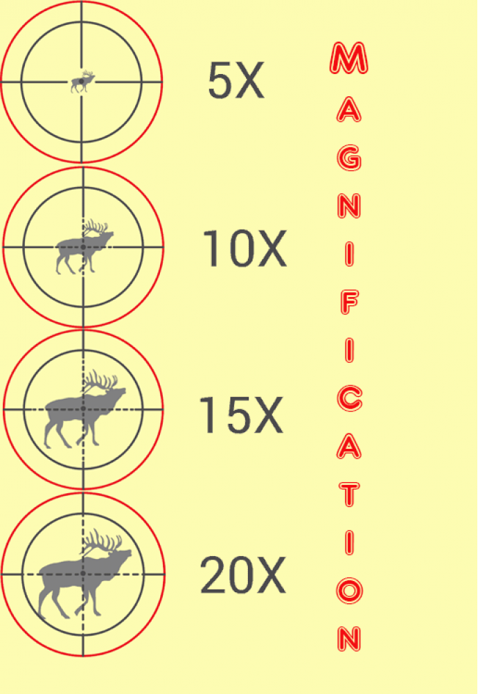 Best Scope Magnification: How Much is Too Much?