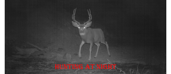 Hunting at Night – ultimate guide