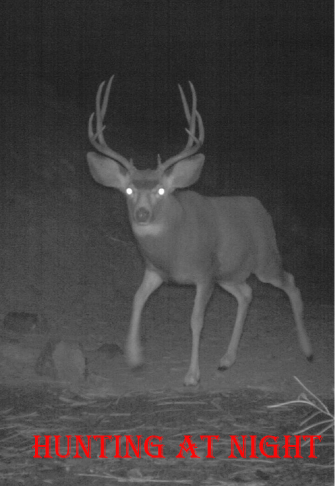 Hunting at Night – ultimate guide