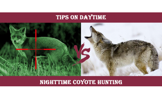 Tips on Daytime vs. Nighttime Coyote Hunting