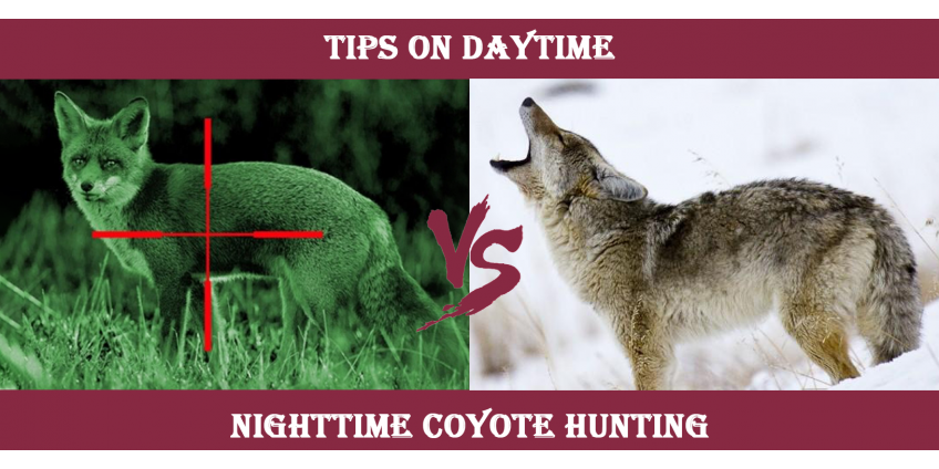 Tips on Daytime vs. Nighttime Coyote Hunting