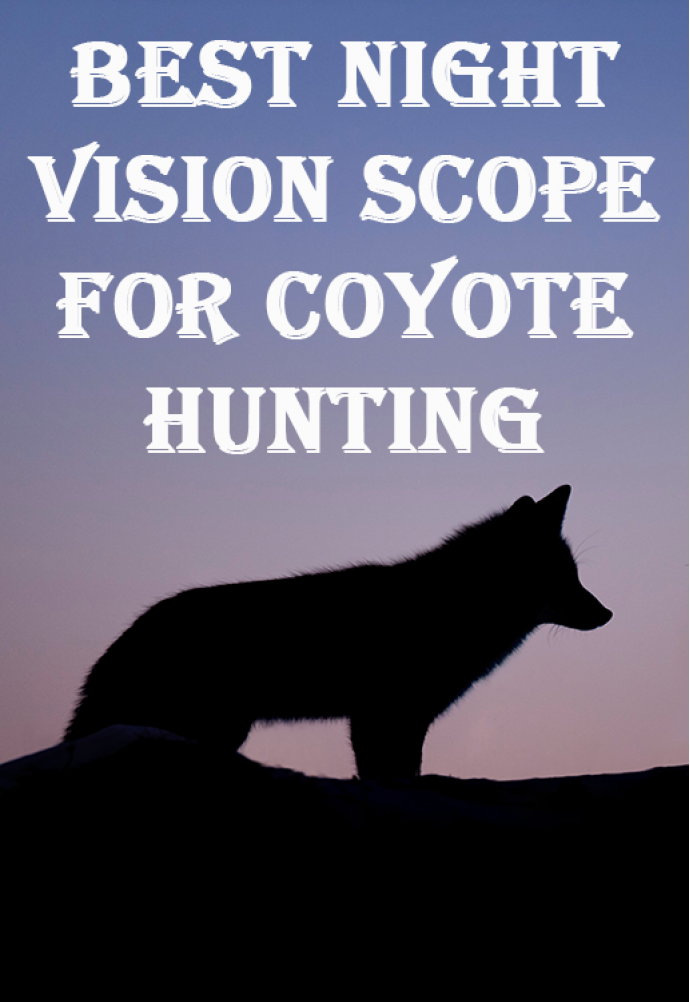 Best night vision scope for coyote hunting