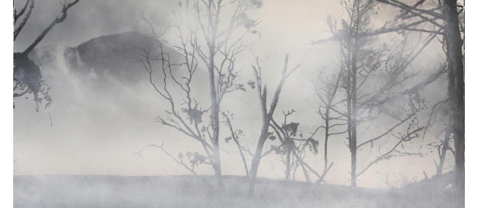 How does night vision and thermal works in fog?