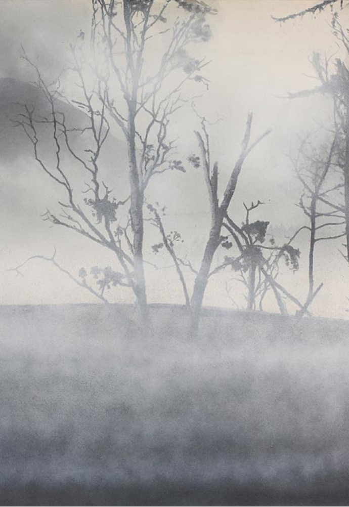 How does night vision and thermal works in fog?