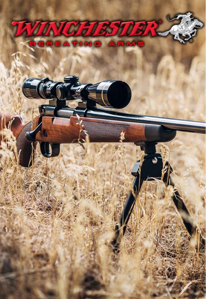 Winchester the legendary weapon for hunting