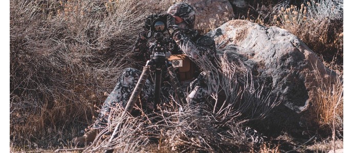 Can You See Snakes With Thermal Imaging