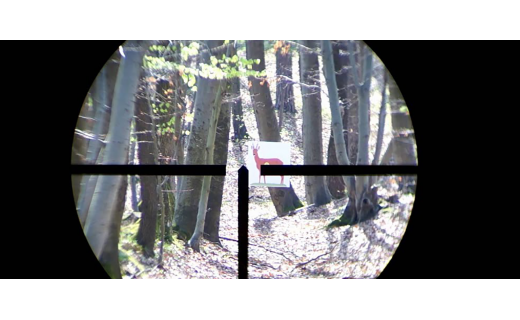 What is a German # Reticle?