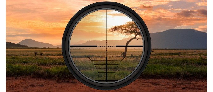 Hunting in Zimbabwe. Features of night hunting in Africa