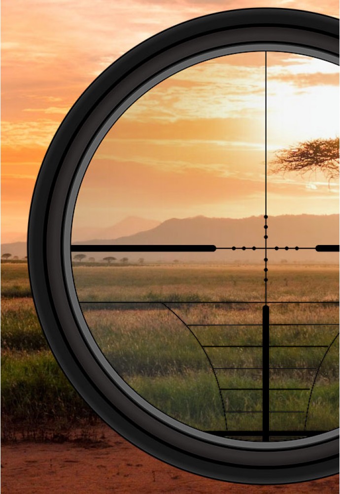 Hunting in Zimbabwe. Features of night hunting in Africa