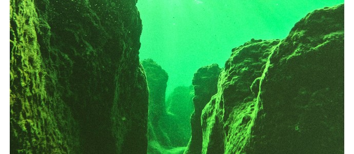 Night vision in watching the underwater world. Does it work, and is it helpful?