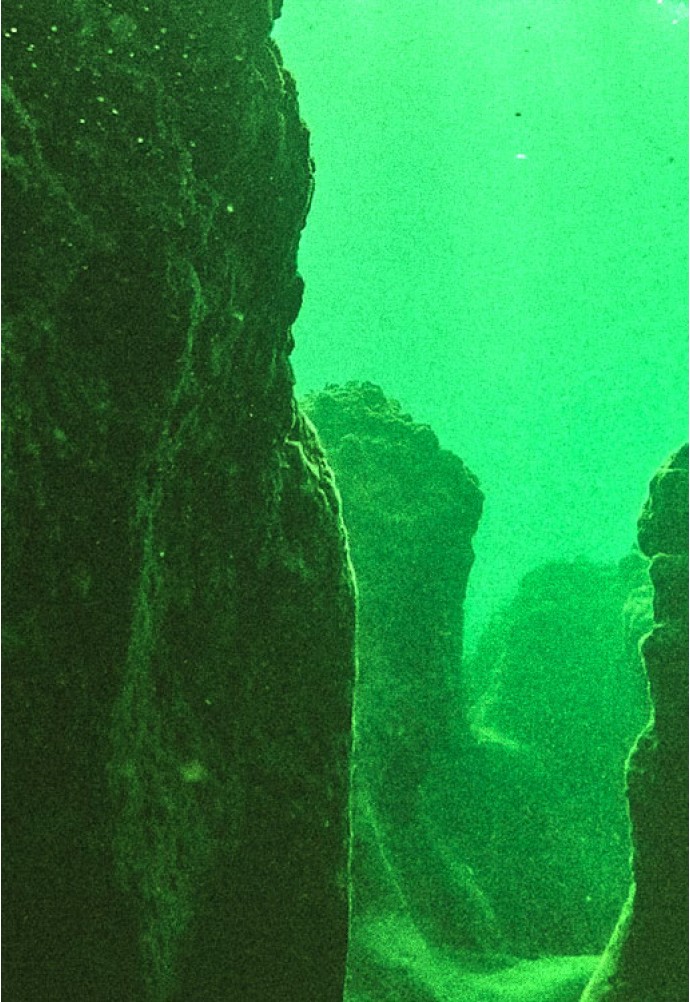 Night vision in watching the underwater world. Does it work, and is it helpful?
