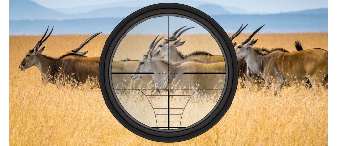 Hunting in South Africa.