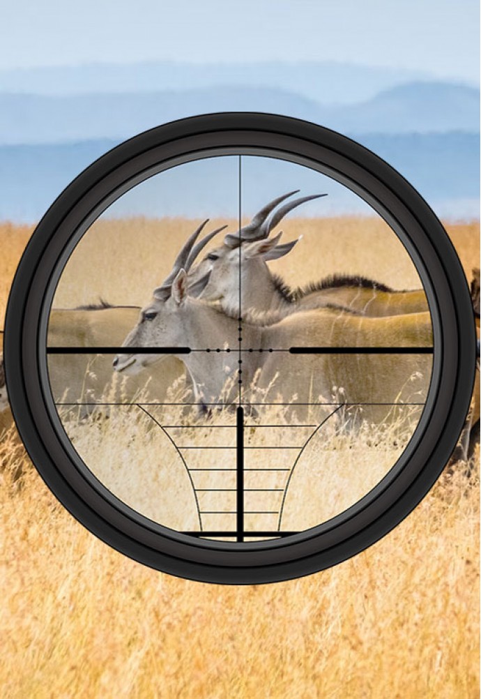 Hunting in South Africa.