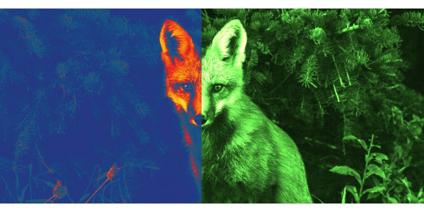 Night vision vs. thermal vision. What to choose? Night vision vs. thermal vision. What to choose?