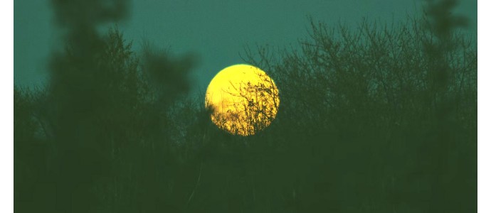 Photo hunting and night vision devices.