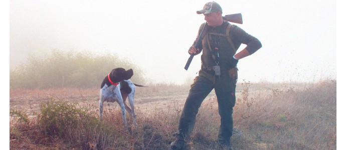 Best hunting dog breeds