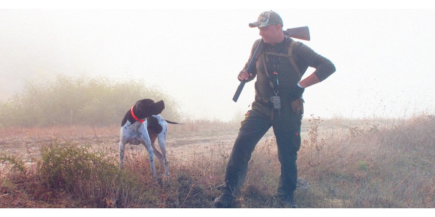 Best hunting dog breeds