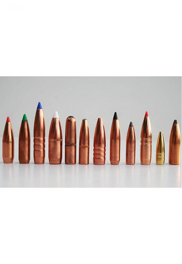 What Is the Best Bullet for Deer Hunting?