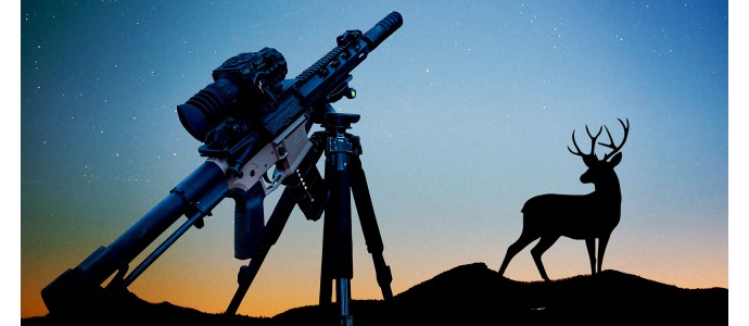 Animals You Can Hunt At Night