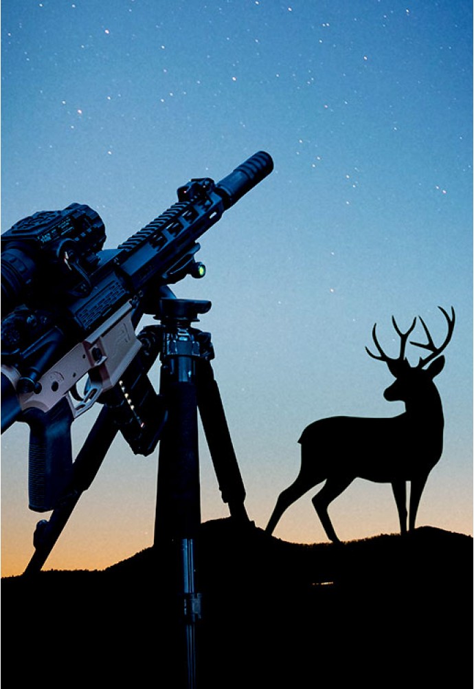 Animals You Can Hunt At Night