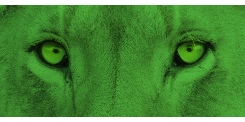 Night vision in animals. The origins of night vision devices