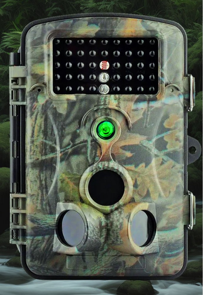 Camera traps in the wild. What are they for, and how do night vision devices change the game's rules?