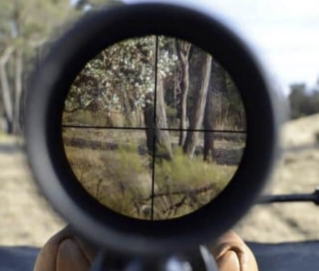 looking through a rifle scope